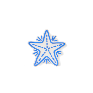 Bogg Bit  - Blue Starfish